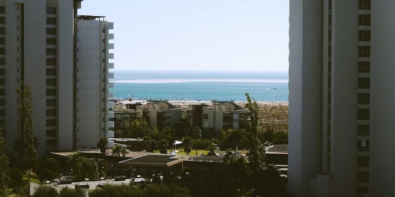 体育科研与训练灰色地带